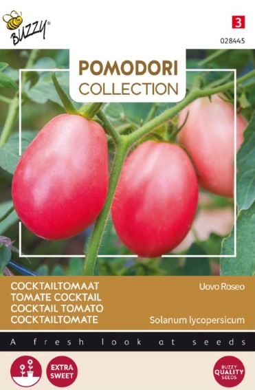 Tomate Pink Thai Egg (Solanum) 750 Samen